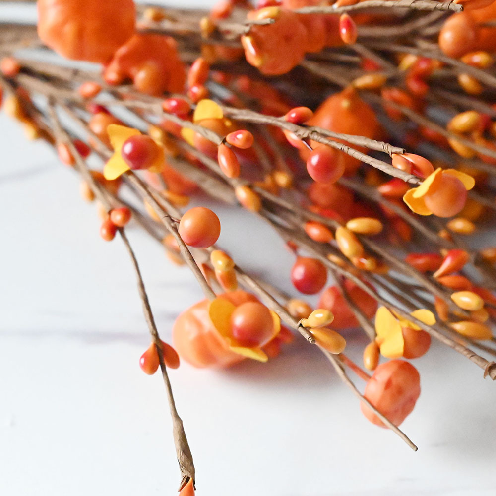 Herfstbessen snijstam oranje e - Home Decor Orange recensie en prijs